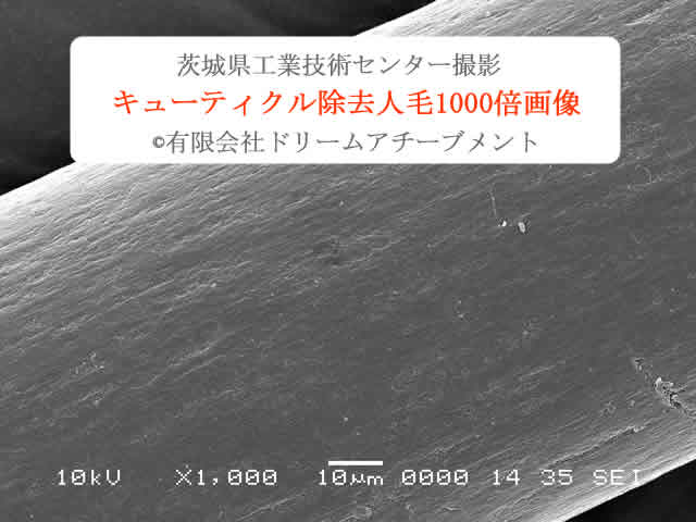 かつらに使うキューティクルなし（剥離処理）人毛