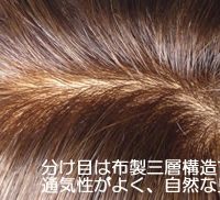 かつらの分け目つむじ
