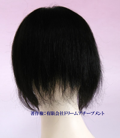 地毛（自毛）で作った部分かつら（後ろ）