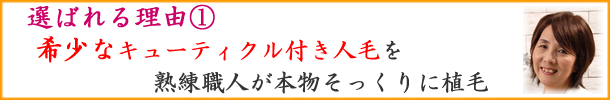 女性用部分かつらの人毛