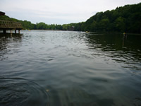 ボートからの眺め