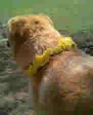 休日の１コマ（その２）