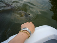 えさくださーい！