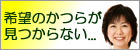 探しているかつらが見つからないときはこちら