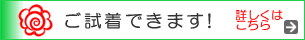 かつら見本のご送付・ご試着できます