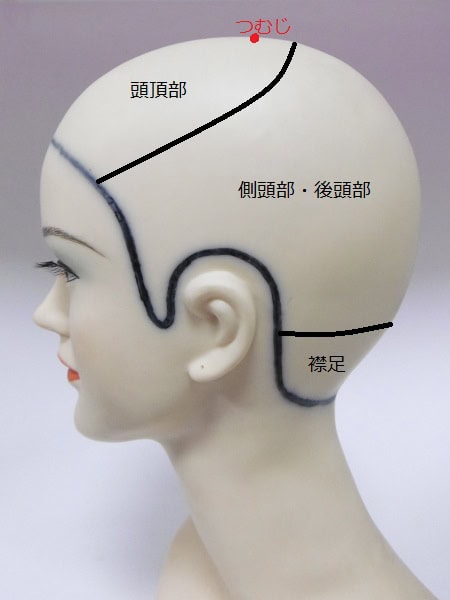 人の頭の部位