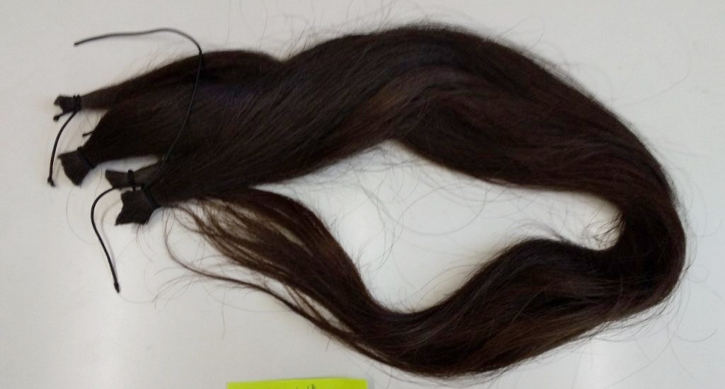 ウィッグのために約65cmにカットした自毛