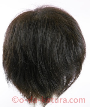 若々しく、活動的に。自毛(地毛)の個性を活かしたショートヘアスタイルの部分ウィッグの後ろ