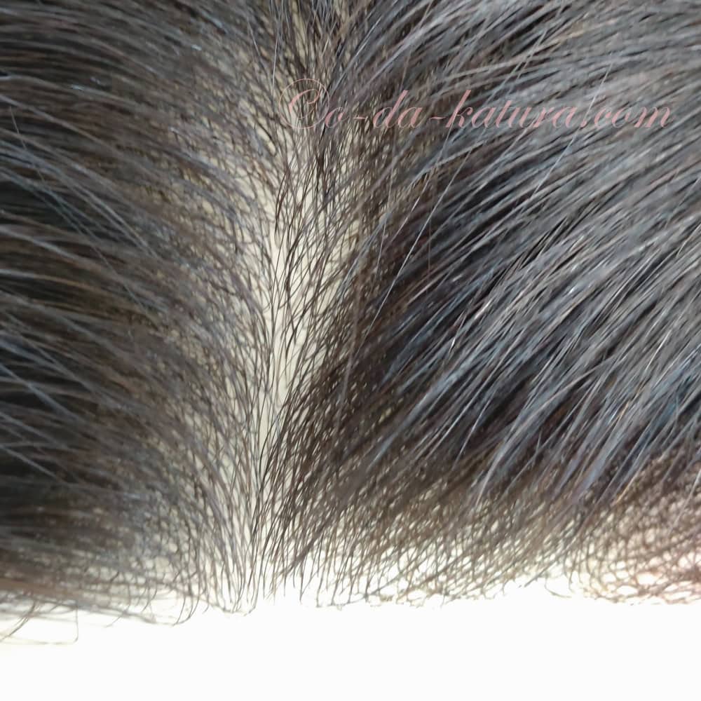 人毛極薄ヘアシート分け目